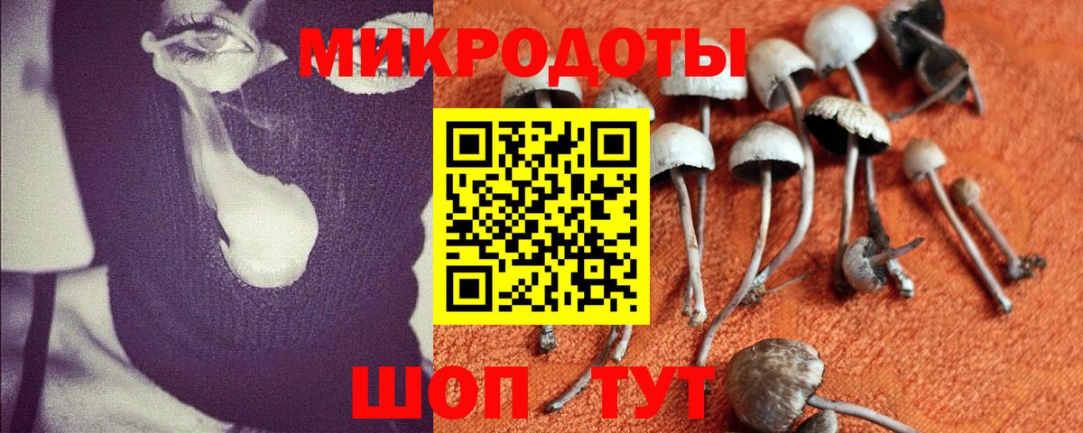 цены наркотик  Галлюциногенные грибы Psilocybine cubensis  Комсомольск-на-Амуре  Вход с VPN  Псилоцибиновые грибы мухоморы 